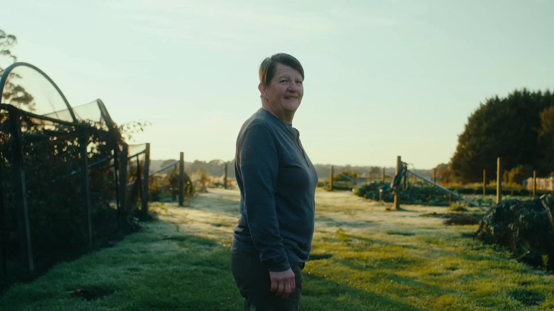 ARRI LUT for BlackMagic Pocket Cinema 6k PRO