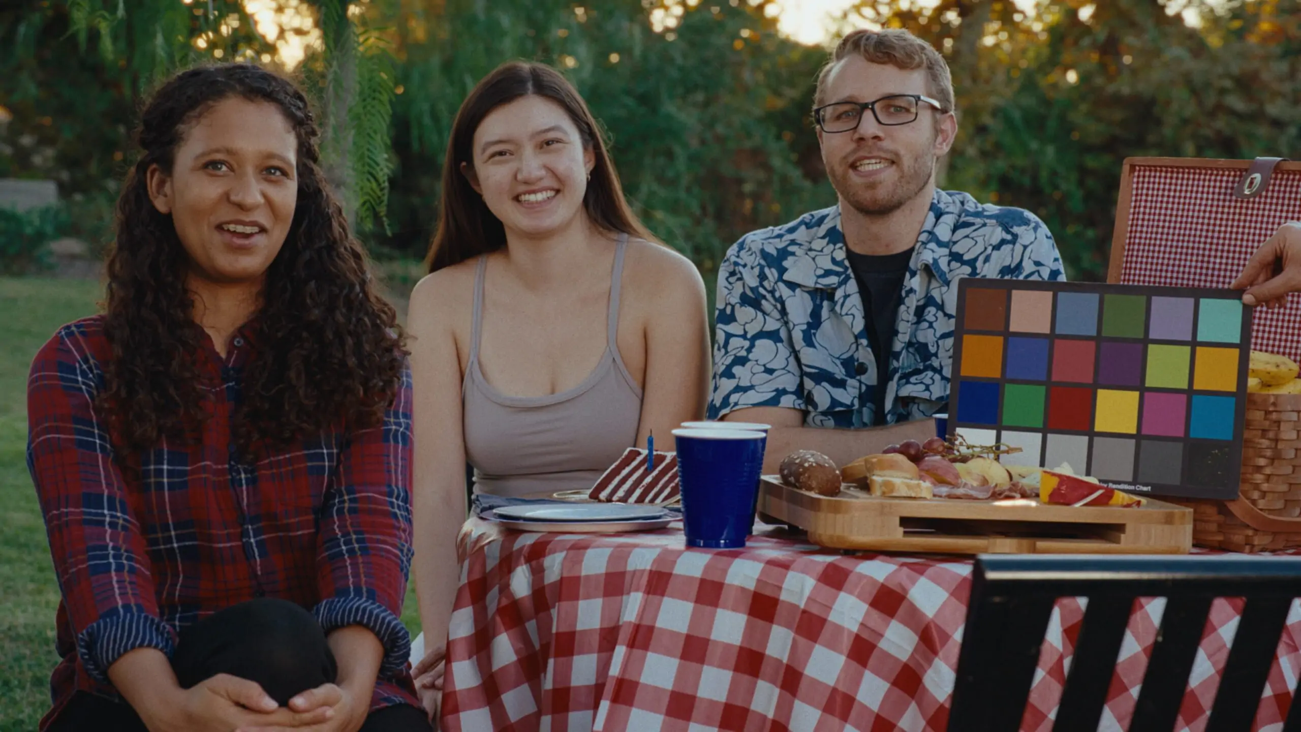 CineCraft Pro+ film emulation toolkit interface showing authentic film stock presets for DaVinci Resolve